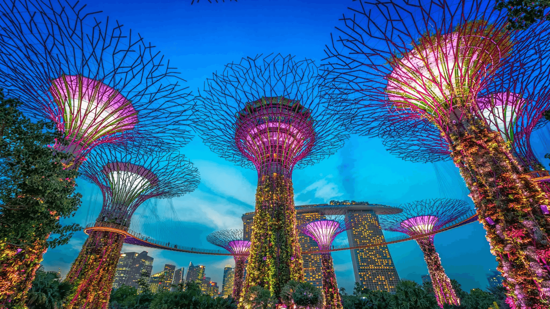 Experience the futuristic beauty of Gardens by the Bay in Singapore, a spectacular blend of nature and technology. This iconic attraction features the famous Supertree structures and the world's tallest indoor waterfall, offering a breathtaking display of botanical artistry and innovative design.