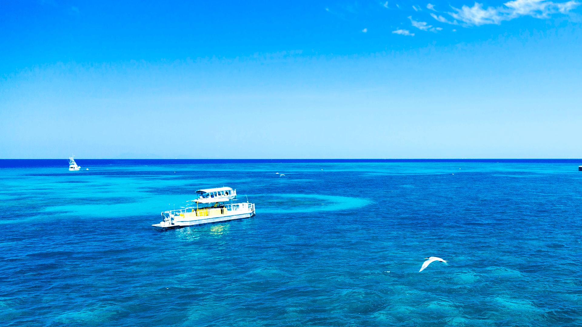 Dive into the aquatic wonderland of the Great Barrier Reef, the planet's largest coral reef system. This natural wonder is renowned for its vibrant marine life and offers snorkeling, diving, and glass-bottom boat tours.