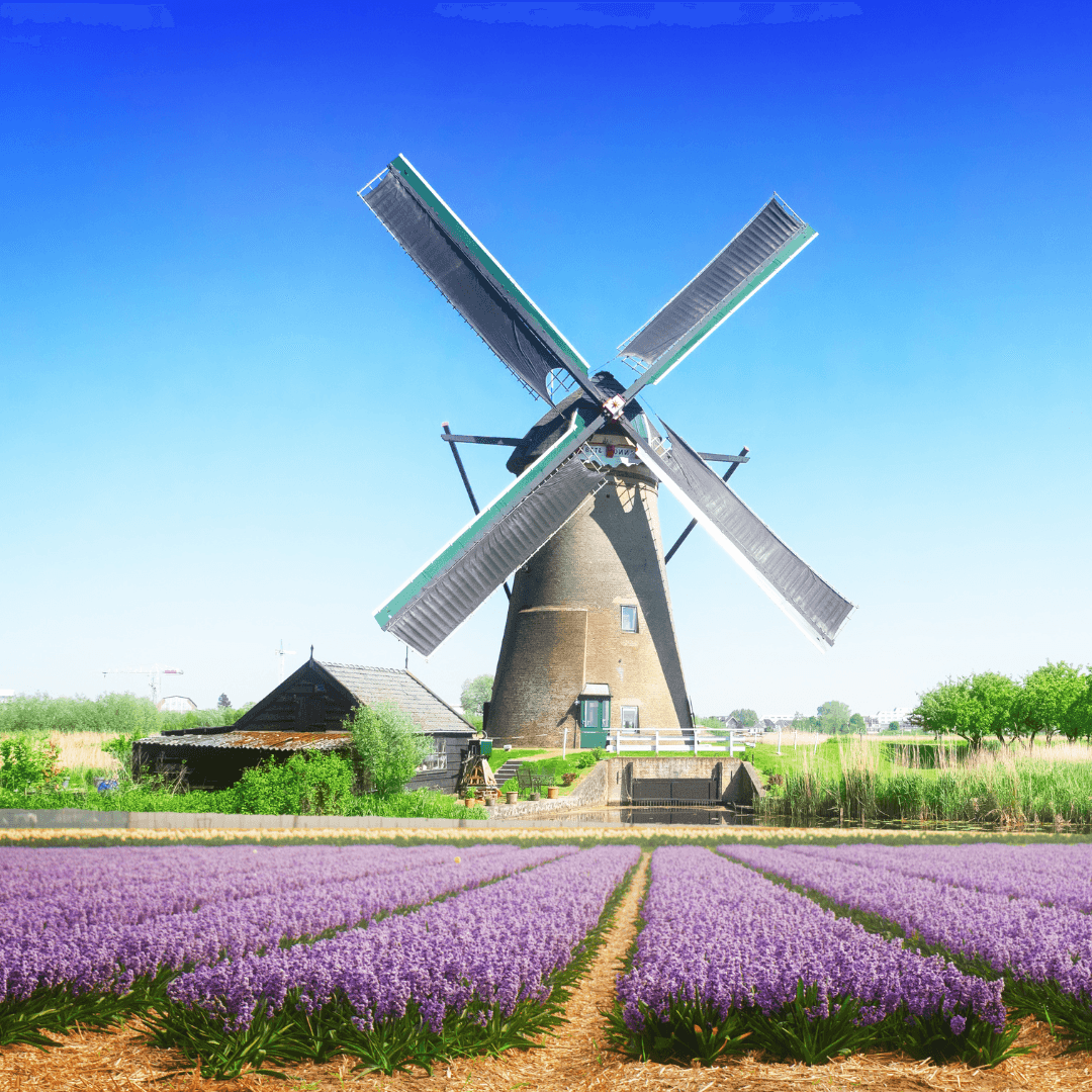 Destination image image4