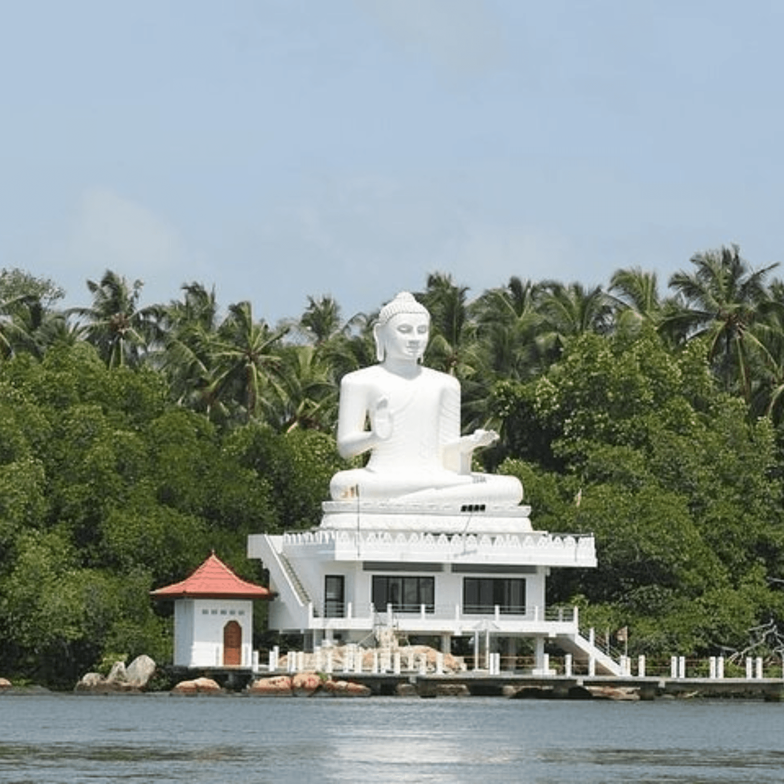 Relax and enjoy the serene Madu River Boat Safari in Bentota, surrounded by lush greenery and teeming with wildlife, offering a peaceful retreat from the bustling world outside.