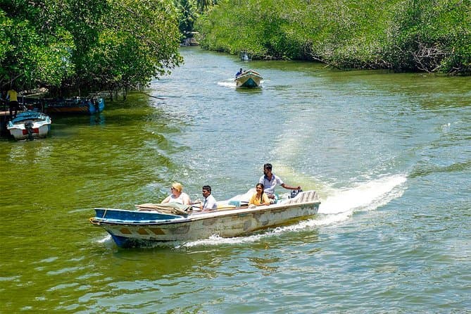 Madhu River Boat Safari – Enjoy a tranquil boat ride through Bentota’s mangrove forests, where you can spot diverse wildlife and soak in the natural beauty.