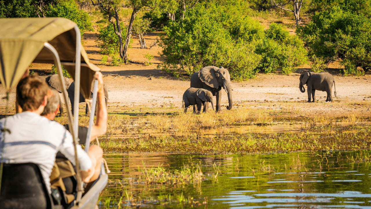 Why Visit South Africa? Uncover the Magic of Wildlife, Culture, and Scenic Beauty