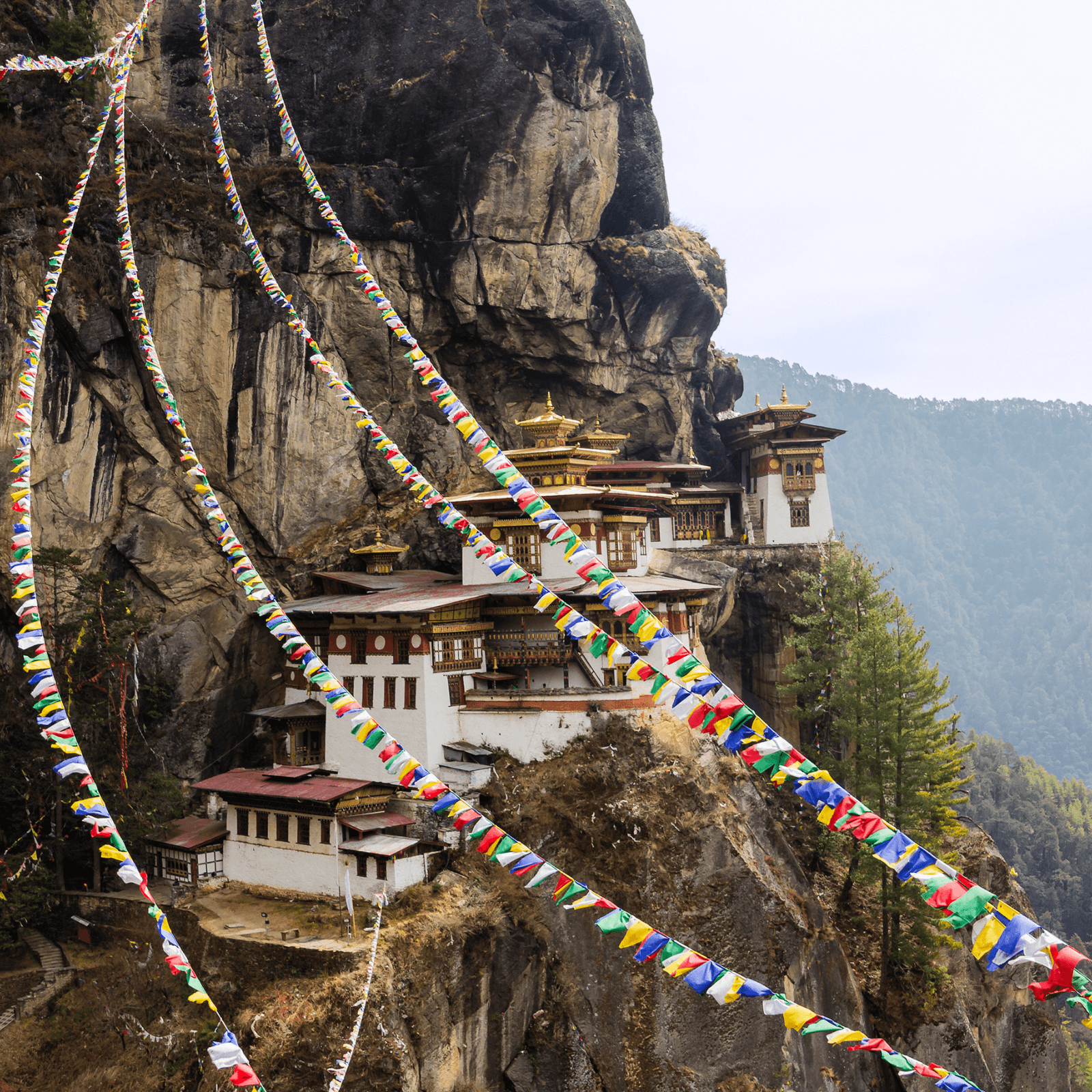 Explore Chitwan National Park on an elephant safari, getting up-close with exotic wildlife such as rhinoceroses, deer, and possibly the royal Bengal tiger.