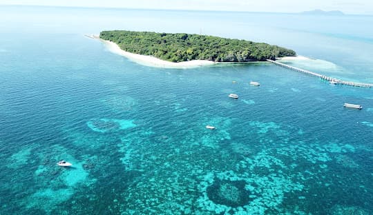 Cairns – Great Barrier Reef & Rainforest Adventures  ✅ Great Barrier Reef Excursion – A once-in-a-lifetime snorkeling & marine exploration experience ✅ Kuranda Rainforest Skyrail – Ride over Australia’s oldest tropical rainforest ✅ Aboriginal Cultural Experience – Learn about Indigenous Australian traditions