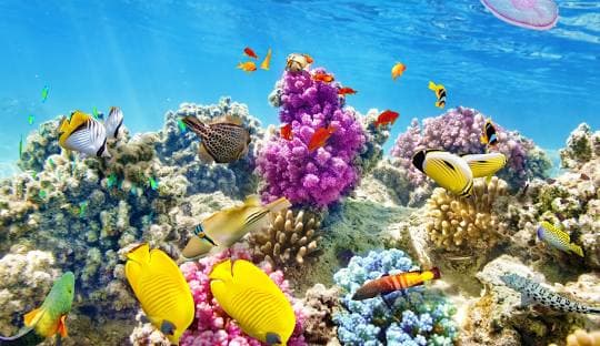 Destination image image3