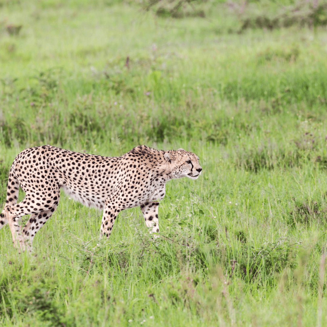 Destination image image4