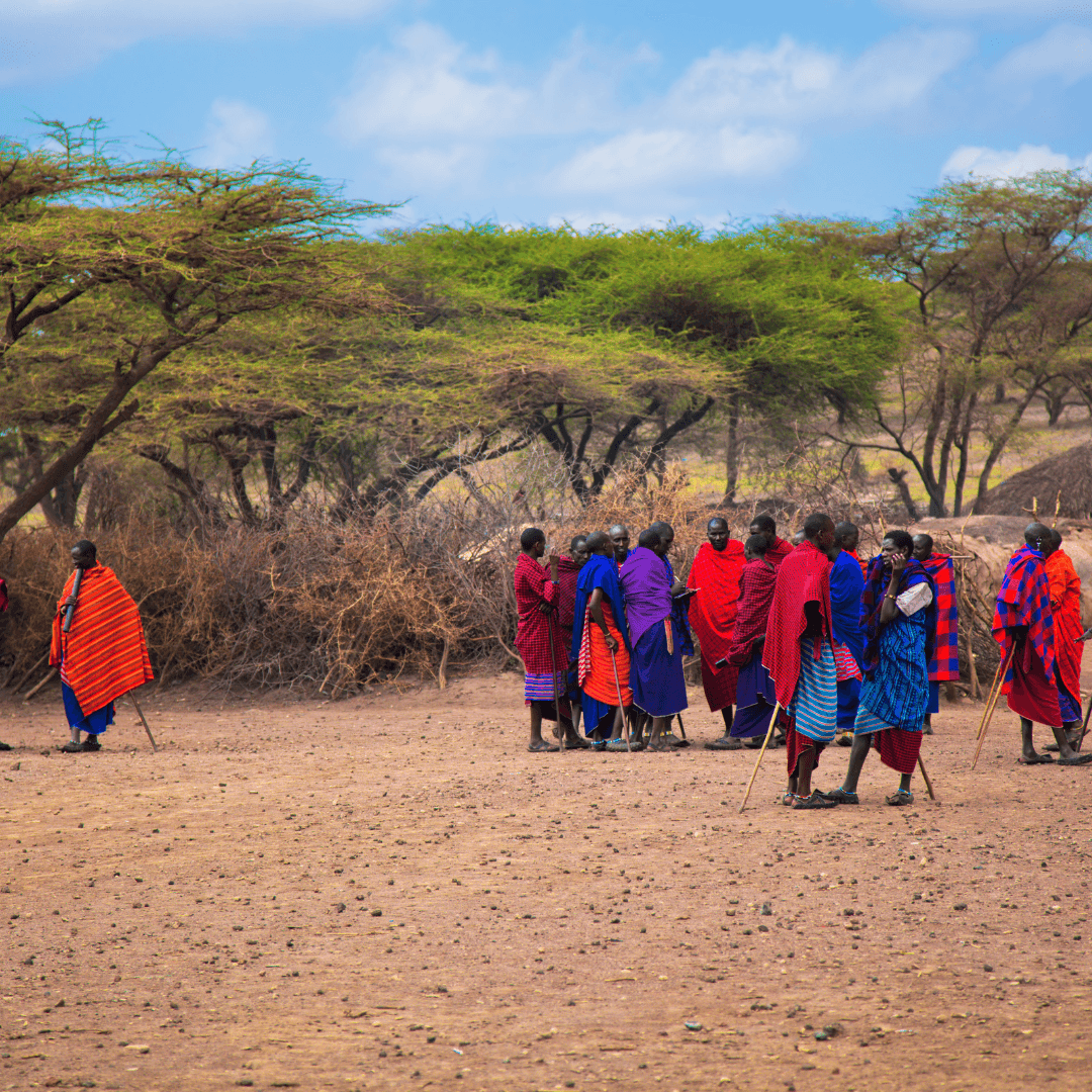Enjoy a cultural visit to a local Masai village, where you can interact with the Masai people and learn about their rich heritage and traditions, including unique dances and community roles.