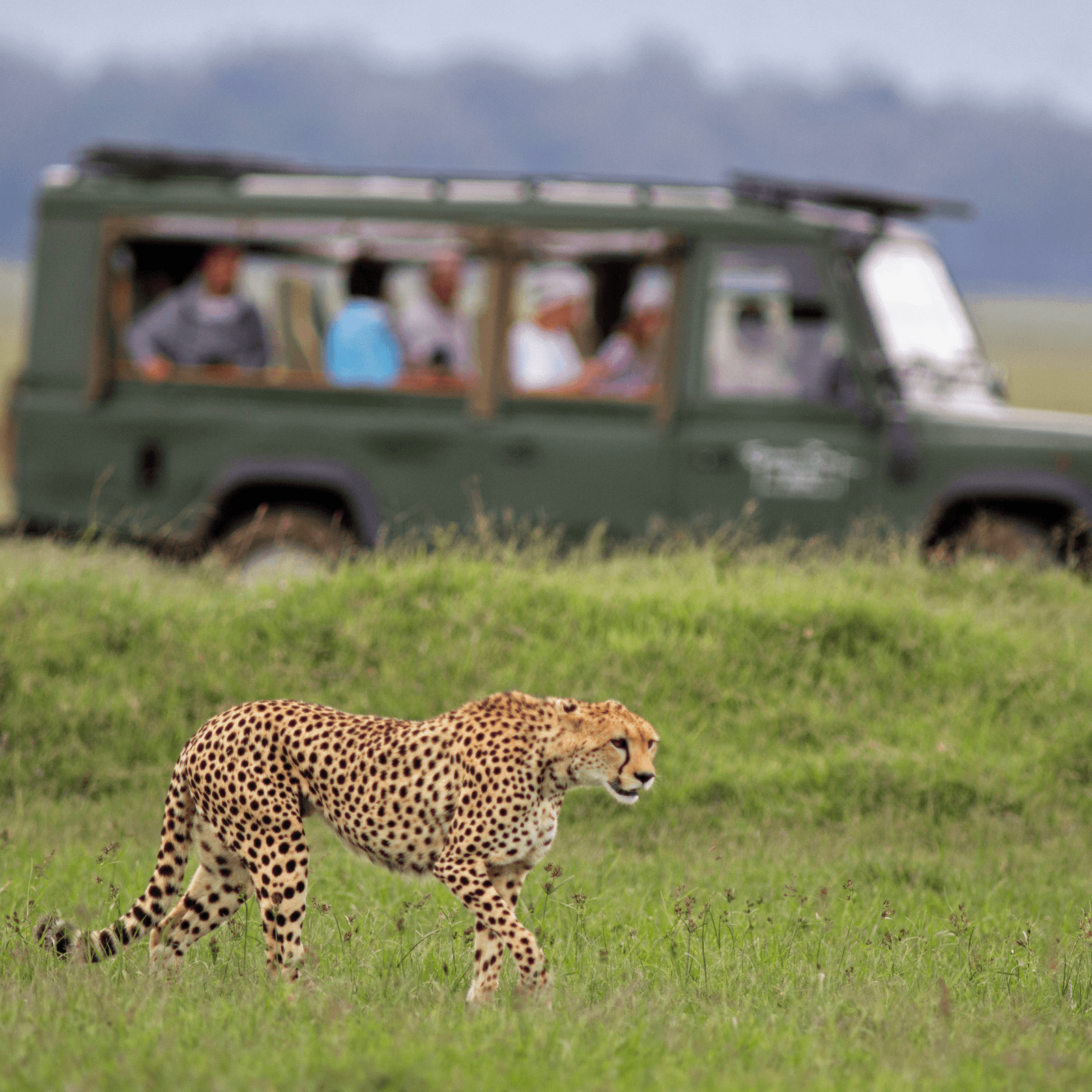 Destination image image4