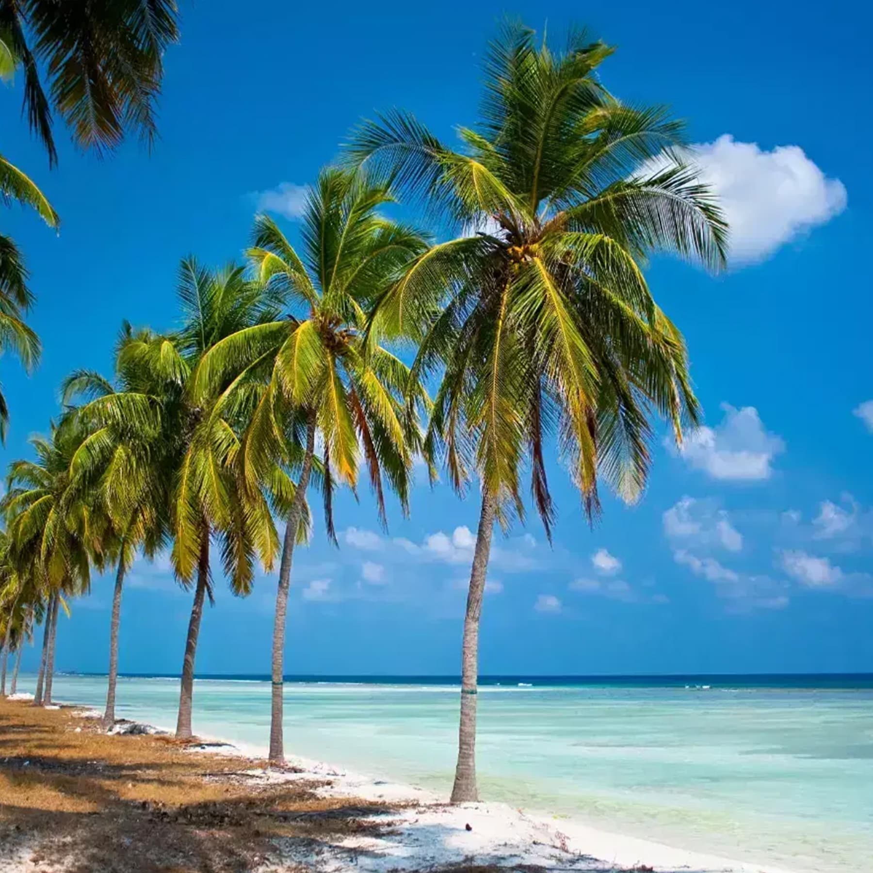 Experience an exclusive evening excursion to Kalpitty Island, known for its unique rocky terrain and pristine natural environment, offering a serene escape from the everyday.