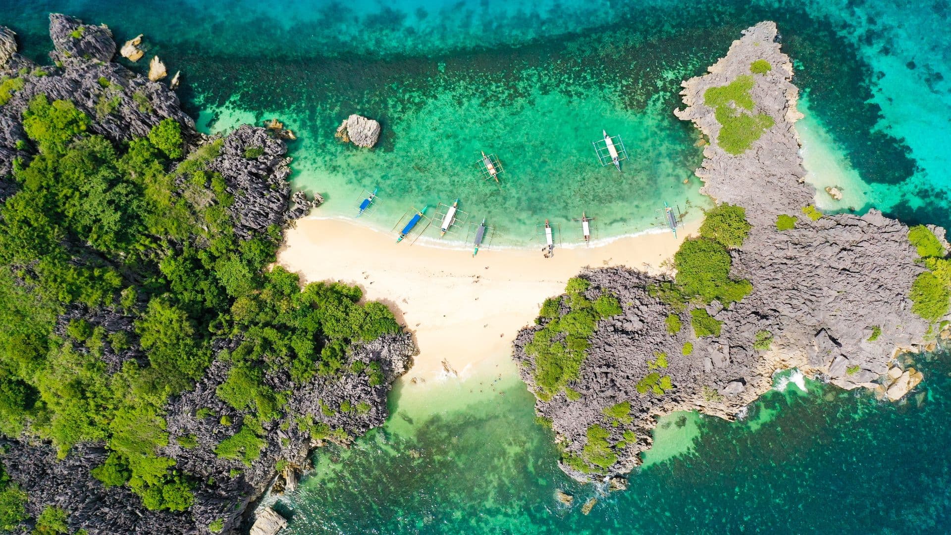 Lively Philippines 4 Days: Discover Bohol’s Beauty and Balicasag's Charm