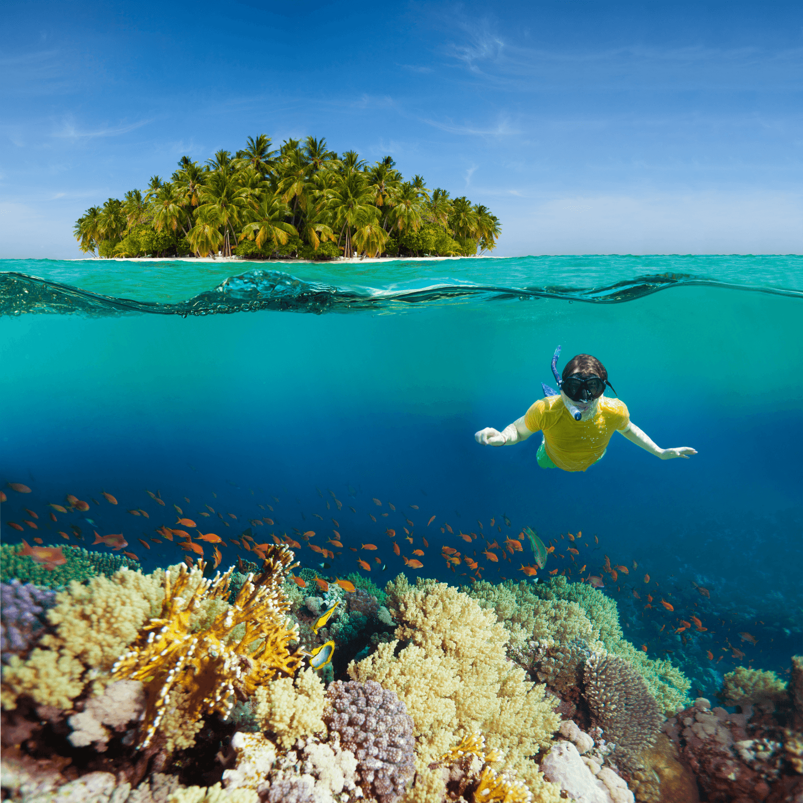 Destination image image4