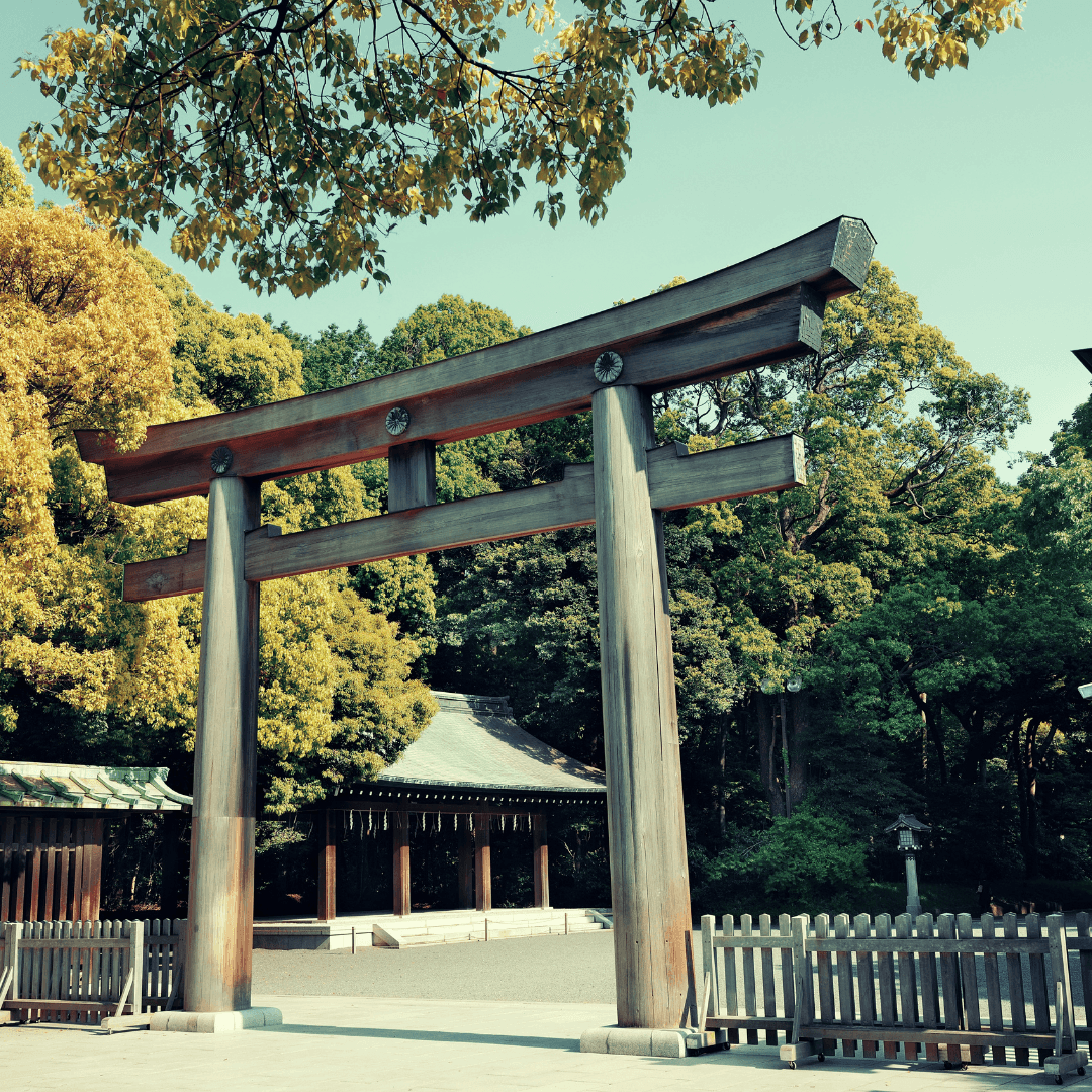 Another captivating stop is the Secret Beach, a hidden gem accessible only through a narrow crevice between limestone cliffs. This secluded paradise offers a serene atmosphere and a unique swimming experience.