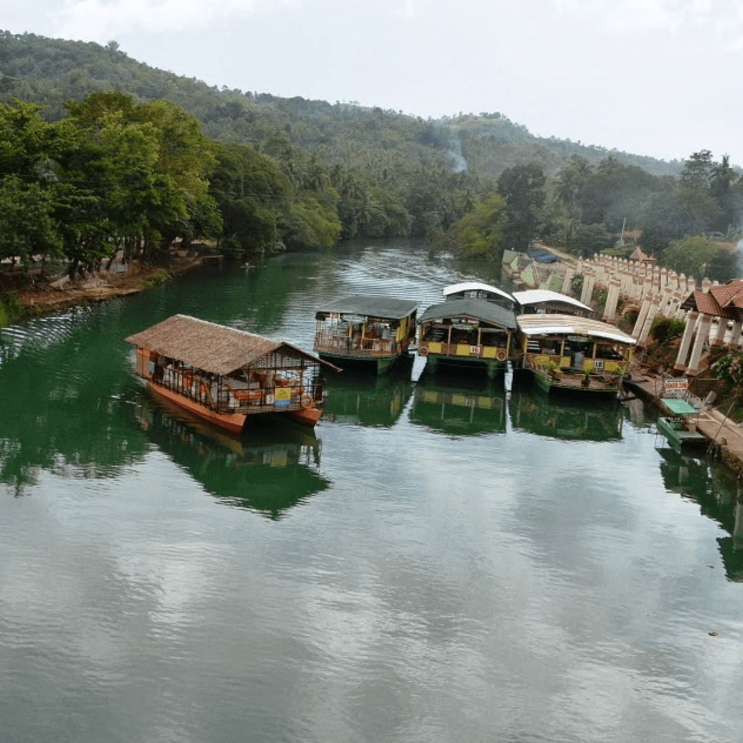 Scenic Loboc River Cruise Sail along the serene Loboc River on a motorized catamaran, relishing traditional Filipino cuisine and scenic landscapes.