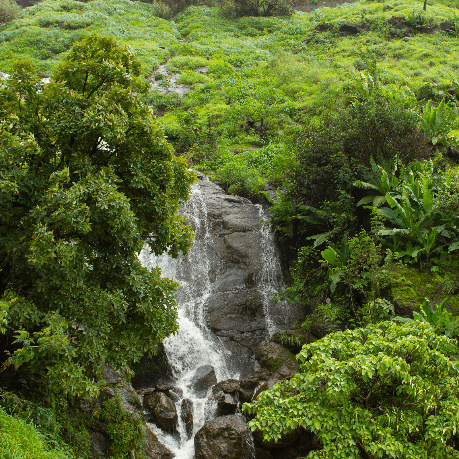 Khandala and Lonavala offer an escape into nature's arms with lush greenery and waterfalls especially during the monsoon, making it a photographer's paradise.