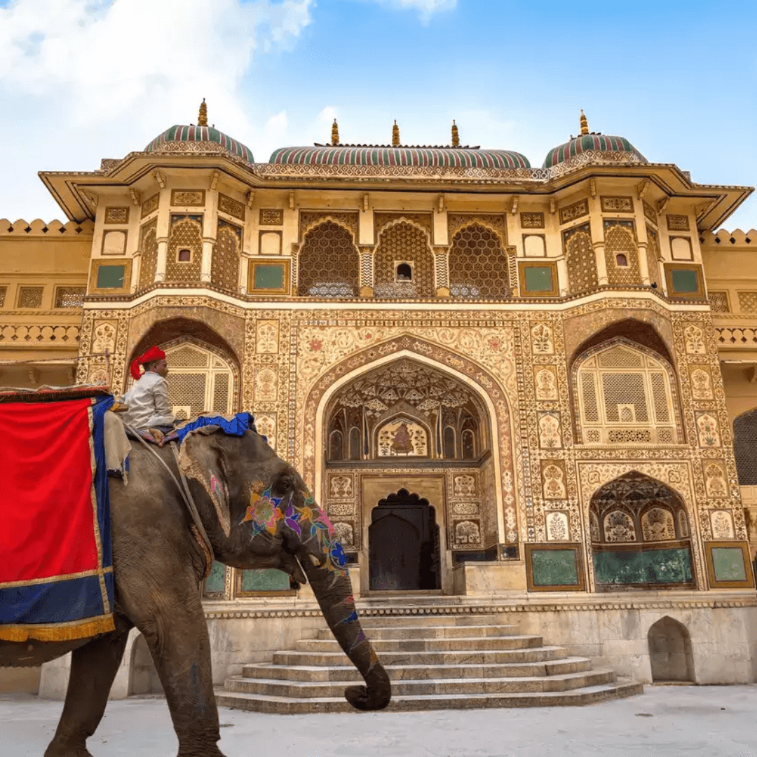 Visit Mehrangarh Fort in Jodhpur, one of the largest forts in India, known for its magnificent architecture and the breathtaking views it offers of the blue city.