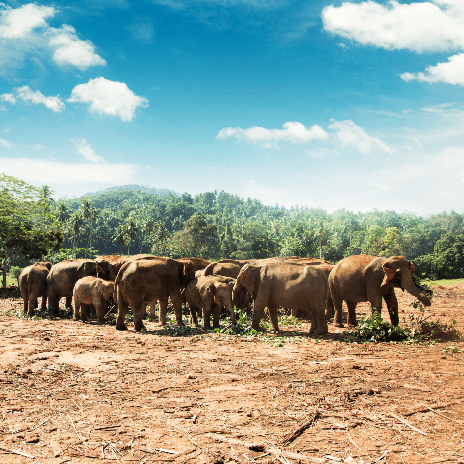 Destination image image3