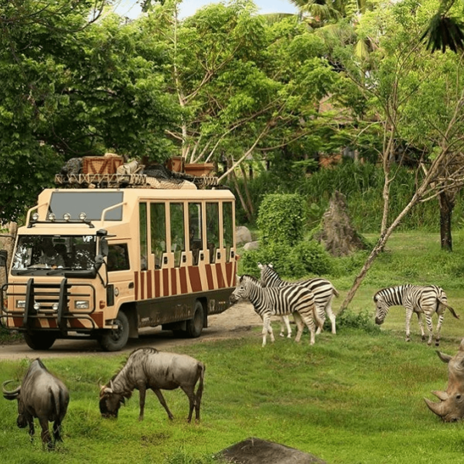 Destination image image3