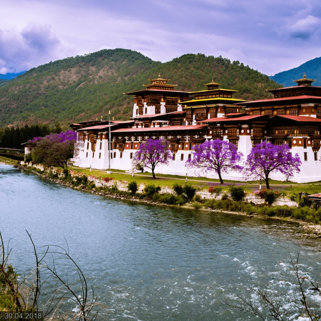 Explore the grandeur of Punakha Dzong, an architectural masterpiece at the confluence of the Mo and Po Chhu rivers. This dzong serves as both a religious and administrative center and is a superb example of Bhutanese craftsmanship.