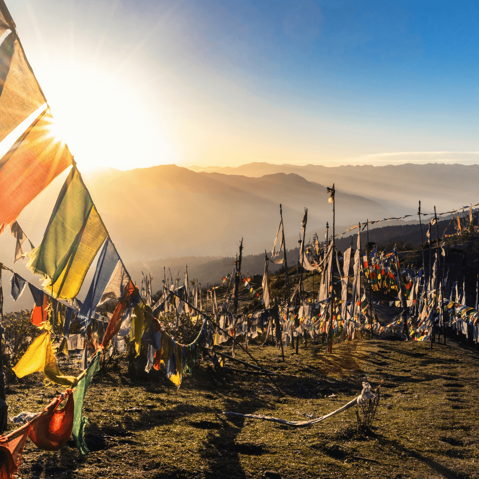 Destination image image5