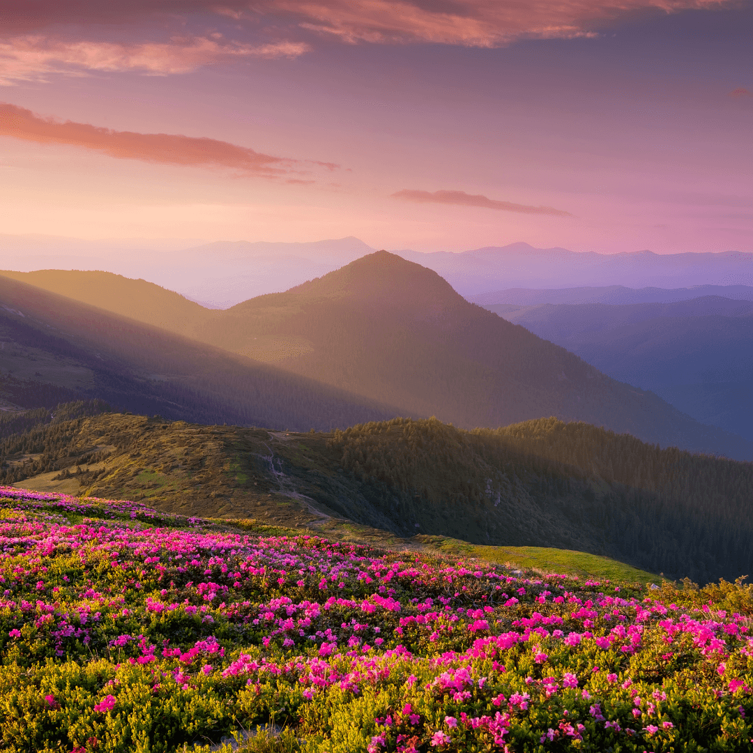 Destination image image2