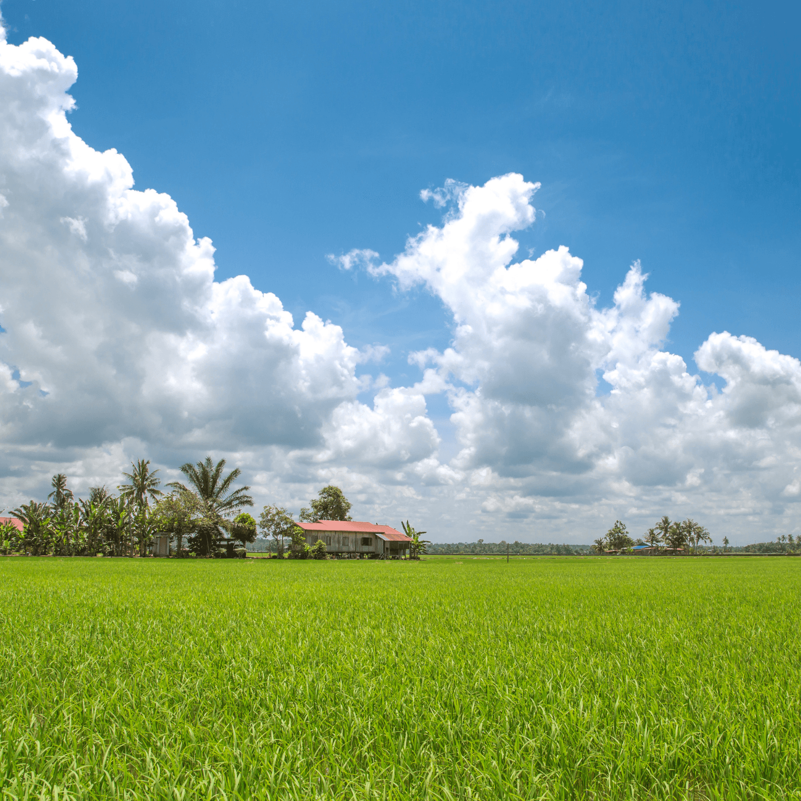 Destination image image2