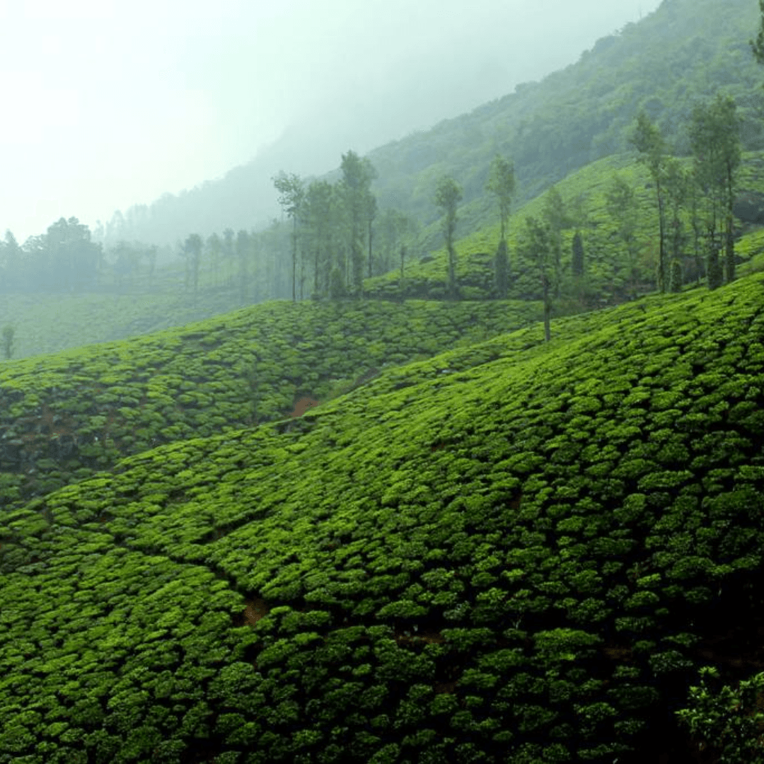 Destination image image5