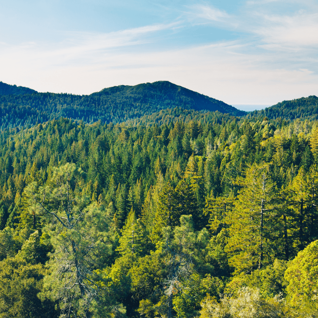 Destination image image5