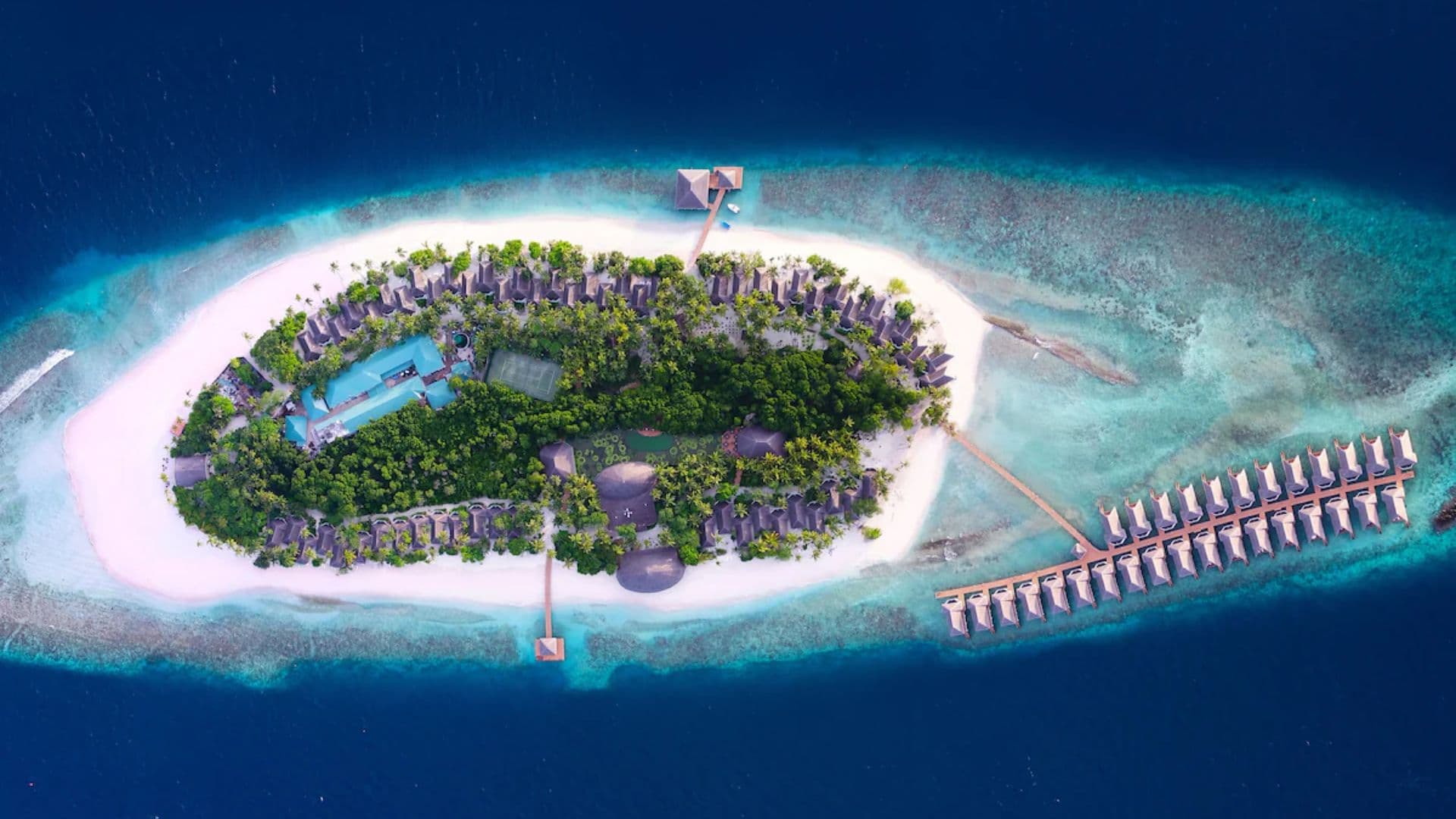 Tropical Escape at Dreamland Maldives
