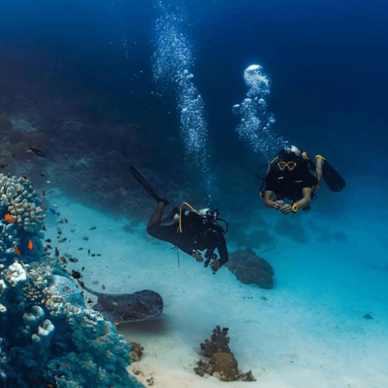 Explore vibrant coral reefs while snorkeling in crystal-clear waters.