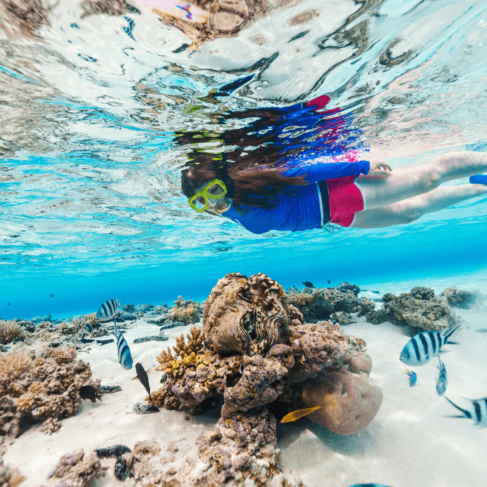 Snorkel with vibrant marine life in crystal-clear waters.