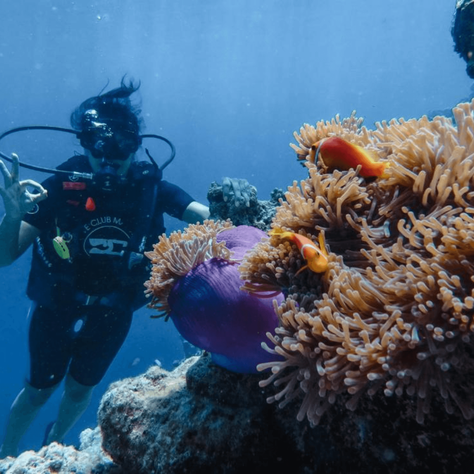 Destination image image3