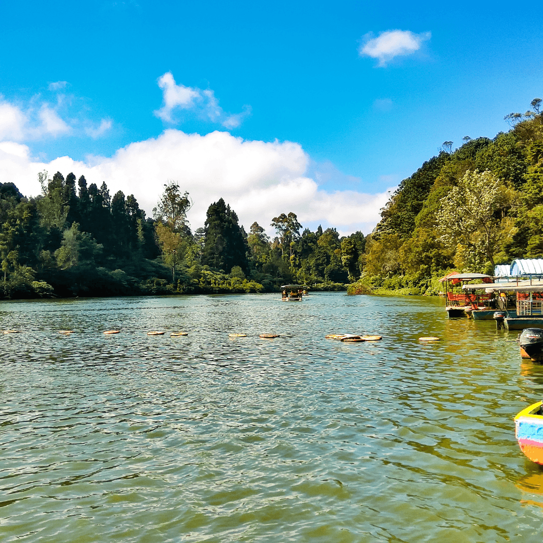 Take a leisurely boat ride on Ooty Lake, a serene experience surrounded by eucalyptus trees with the hills in the background. The lake offers pedal and rowing boats, making it a perfect family-friendly activity.