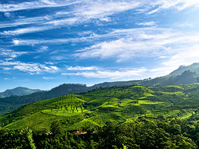 Explore Ooty & Kodaikanal