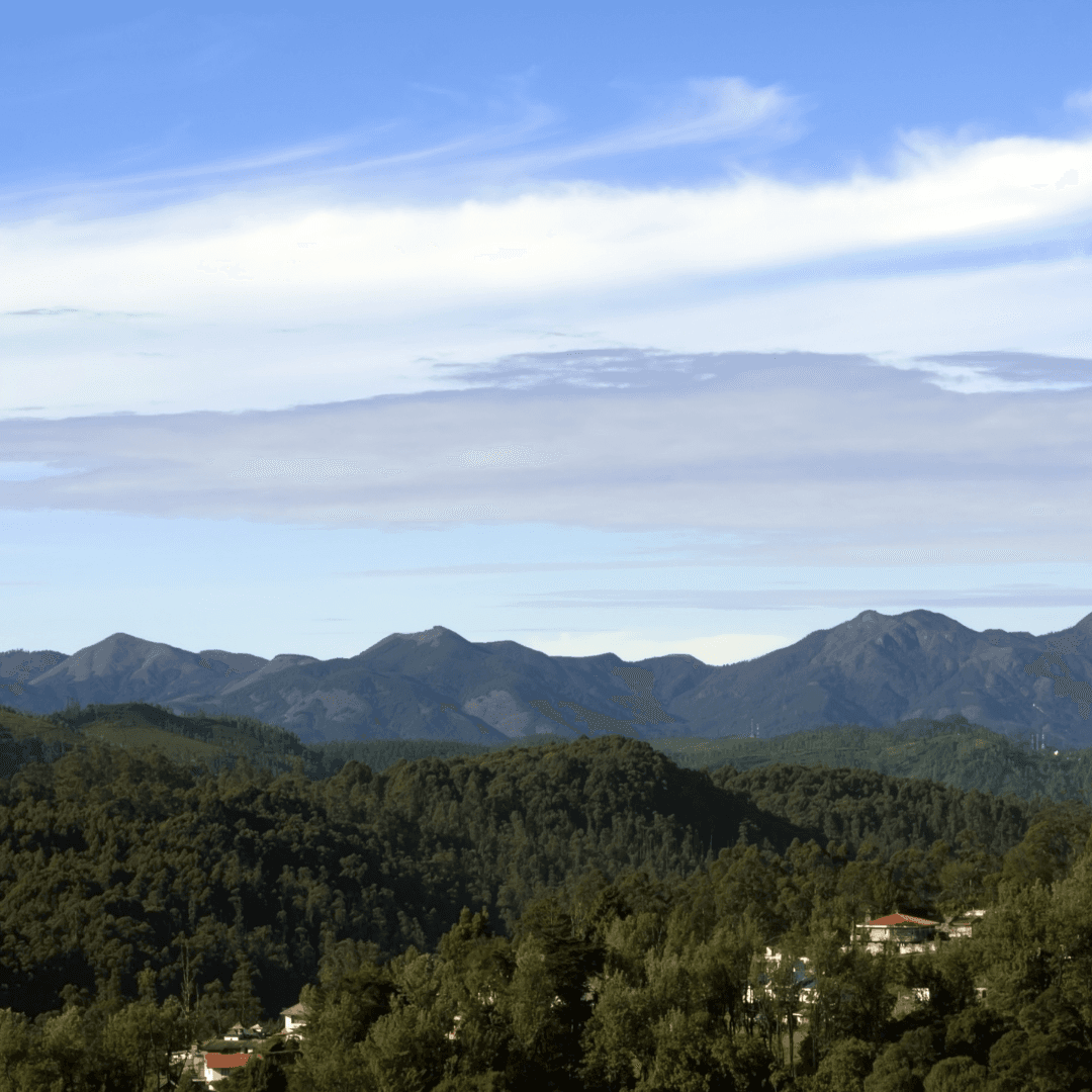 Visit Doddabetta Peak, the highest point in the Nilgiris at 2,637 meters above sea level. It offers unmatched views of the surrounding landscapes and is a popular spot for both sunrise and sunset.