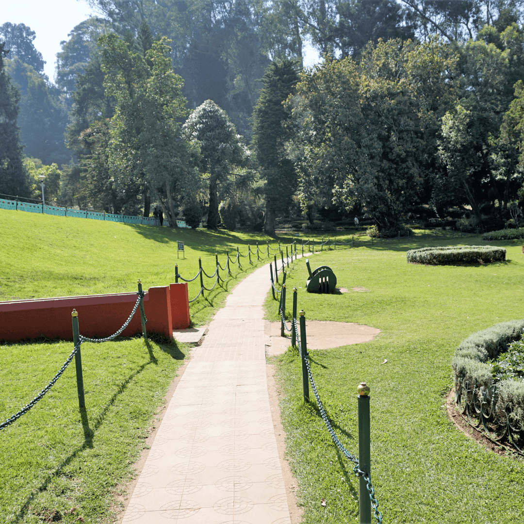 Experience the stunning Government Botanical Gardens in Ooty, a sprawling 22-acre area with a fossil tree estimated to be over 20 million years old. The gardens are a sanctuary of lush green lawns, rare plant species, and vibrant floral displays.