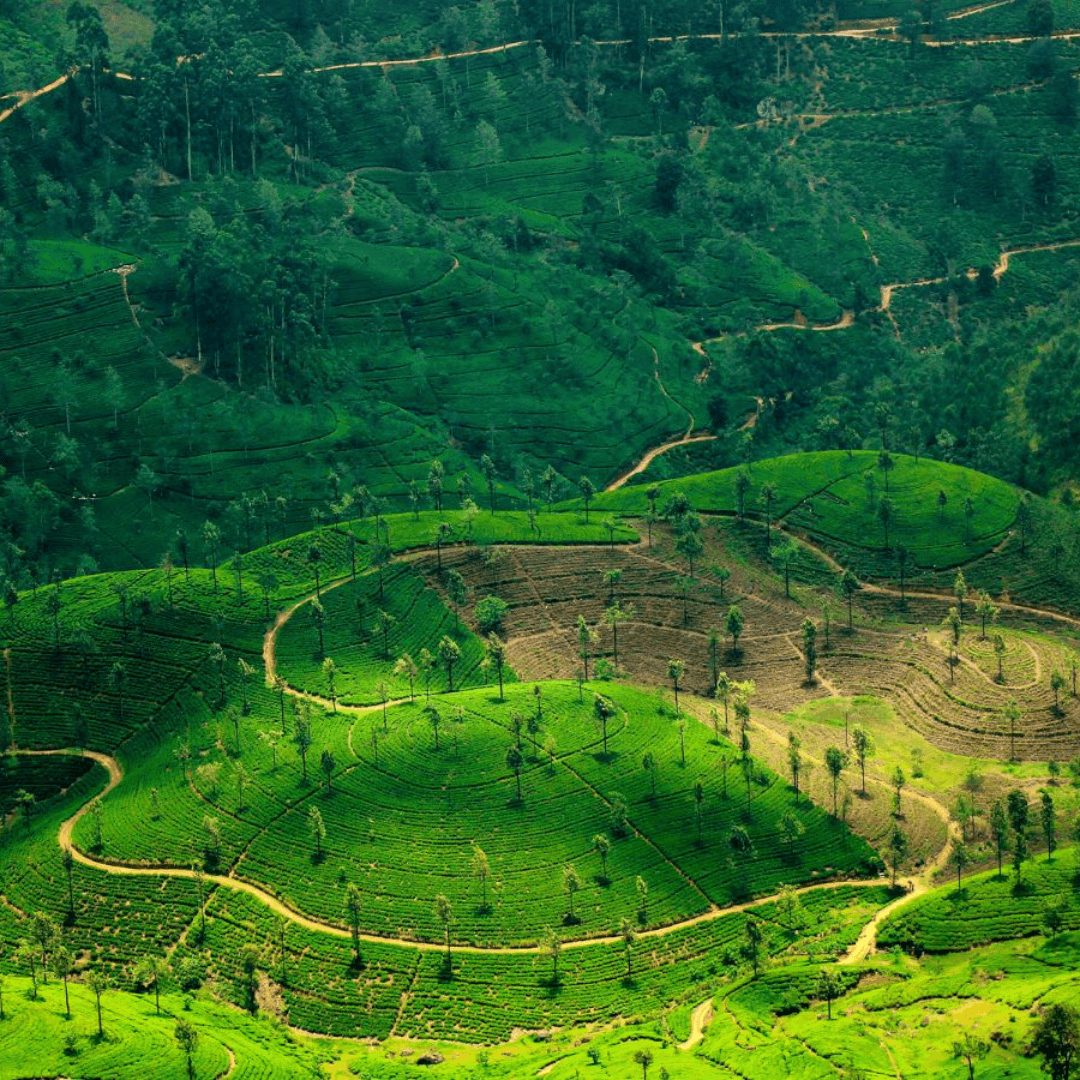 Destination image image1