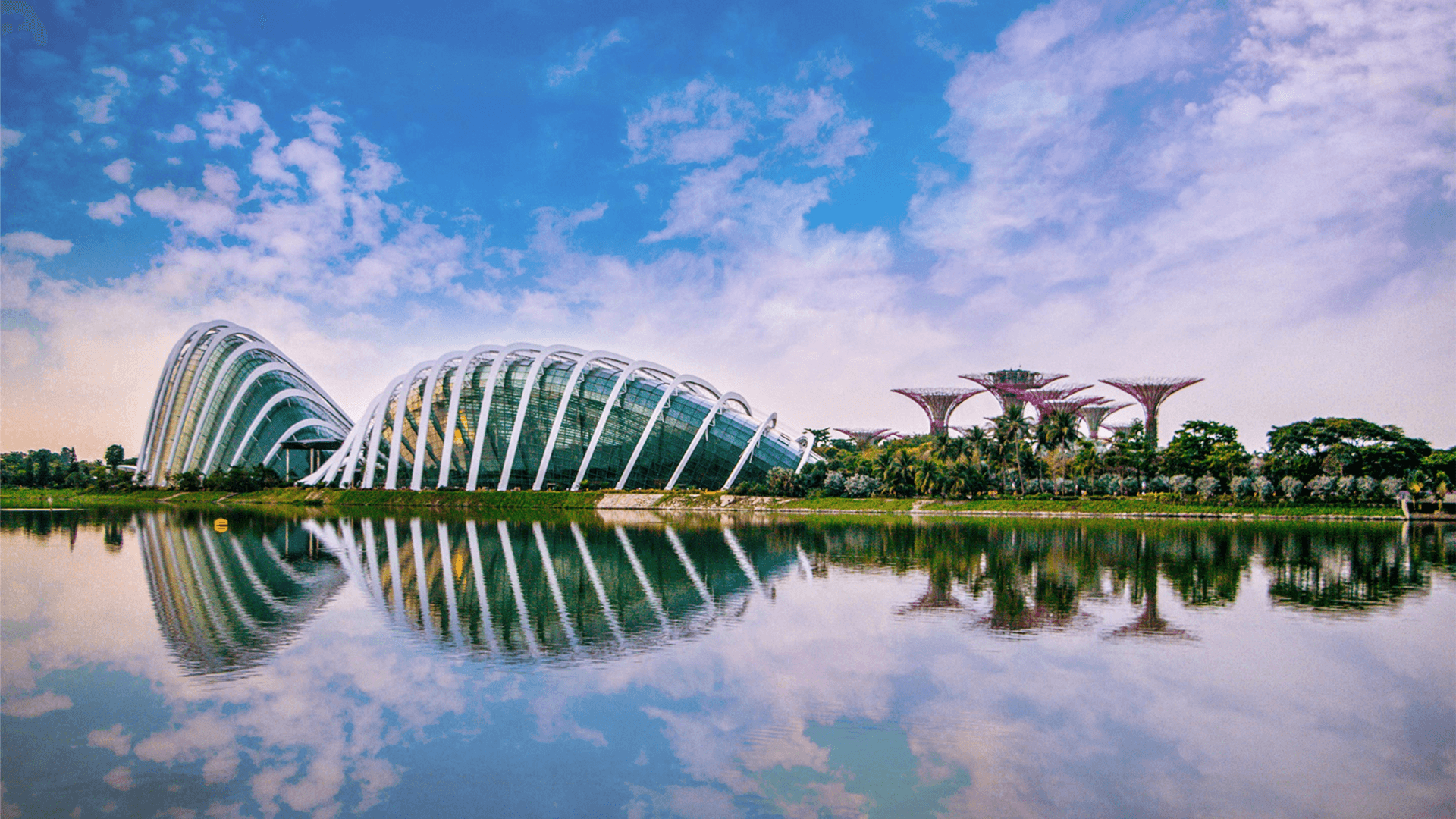 Gardens by the Bay: Marvel at Singapore’s iconic garden with the Supertree Grove and exotic floral displays.