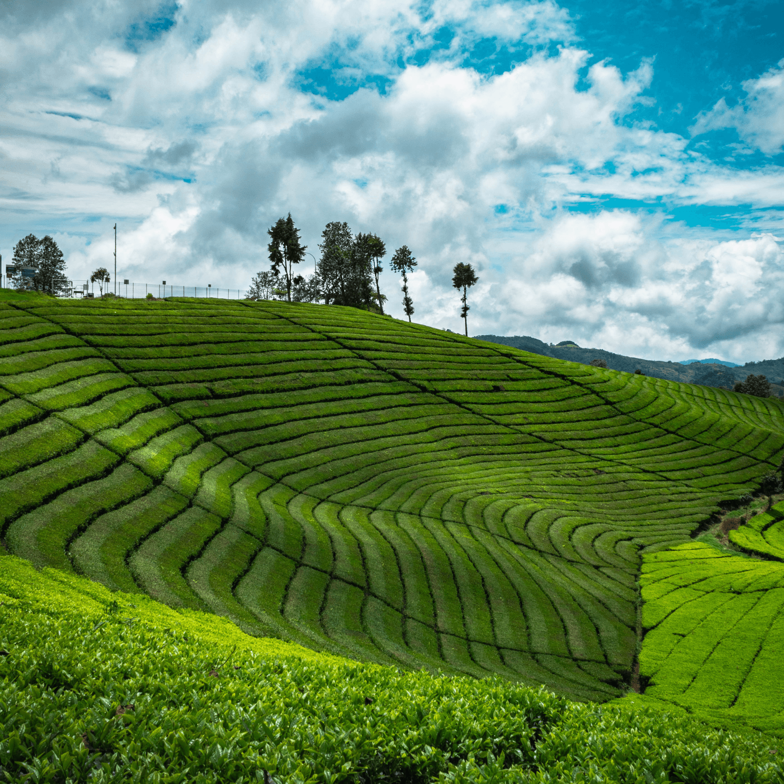 Destination image image4