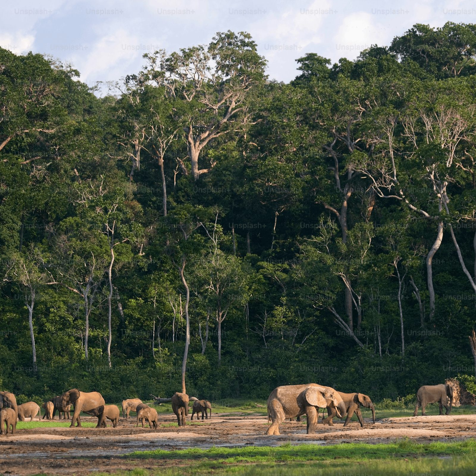 Destination image image5