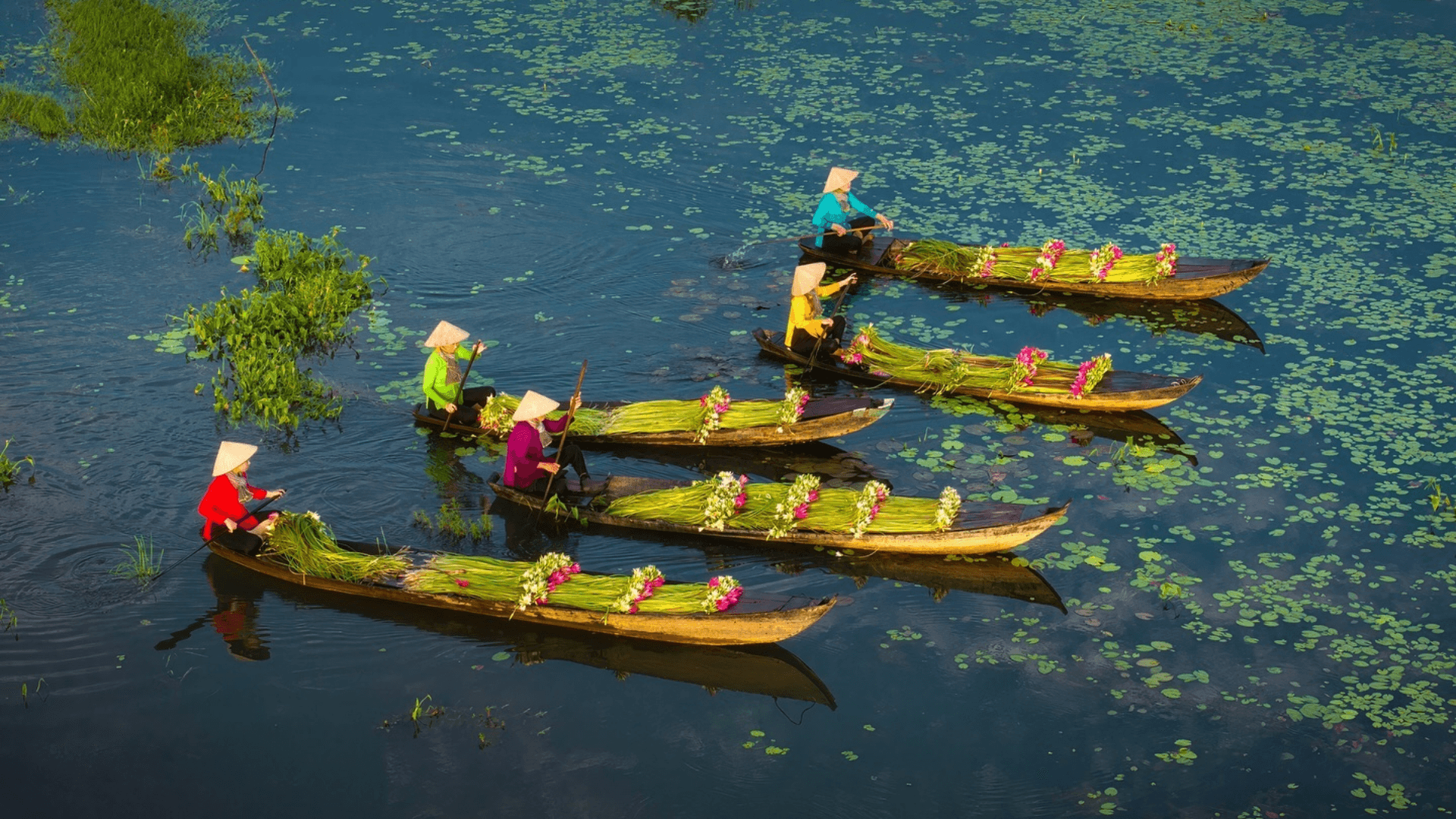 A Mekong Delta Day Trip takes you through lush canals, floating markets, and local villages, offering a glimpse into Vietnam’s vibrant river life and culture.