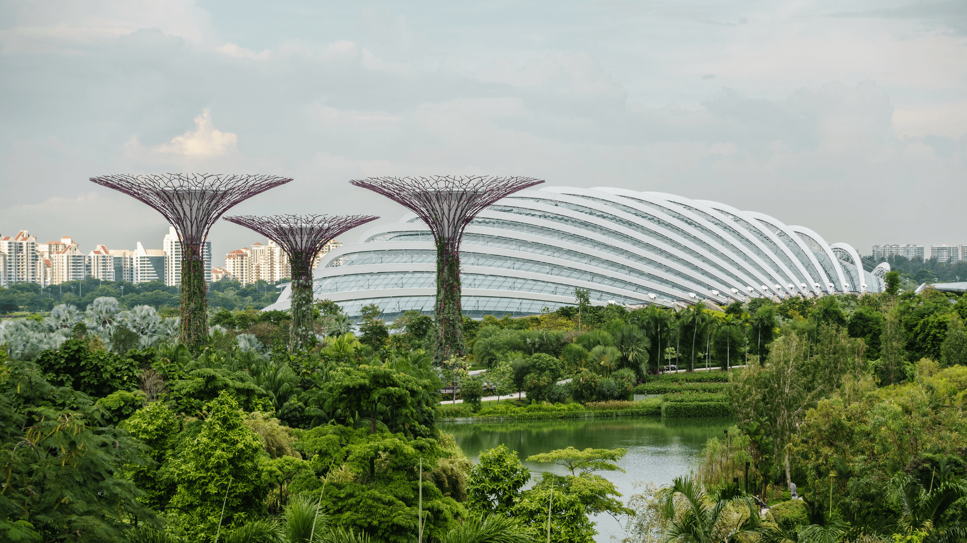 Gardens by the Bay: Marvel at Singapore’s iconic floral displays and Supertrees, a must-visit green oasis.