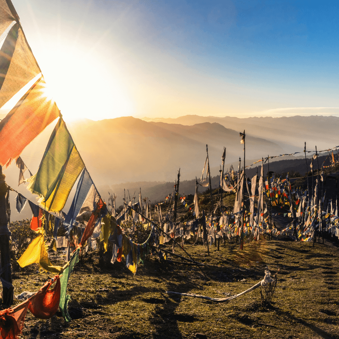 Chele La Pass & Haa Valley: Awe-inspiring vistas and ancient temples.