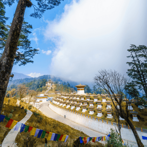 Dochula Pass: Panoramic Himalayan views and the historic 108 stupas.