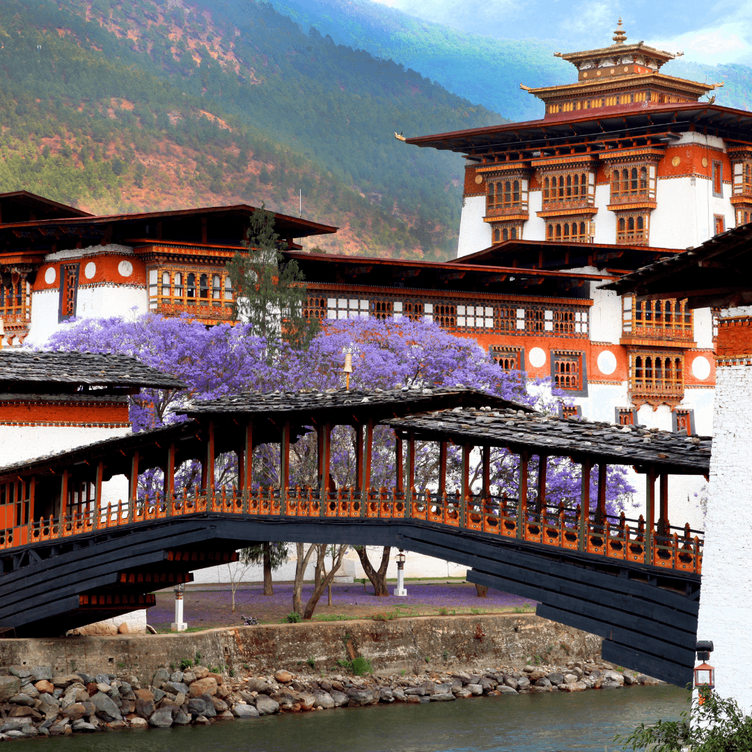Witness the grandeur of Punakha Dzong, a stunning example of Bhutanese architecture, located at the confluence of the Mo and Po Chhu Rivers.