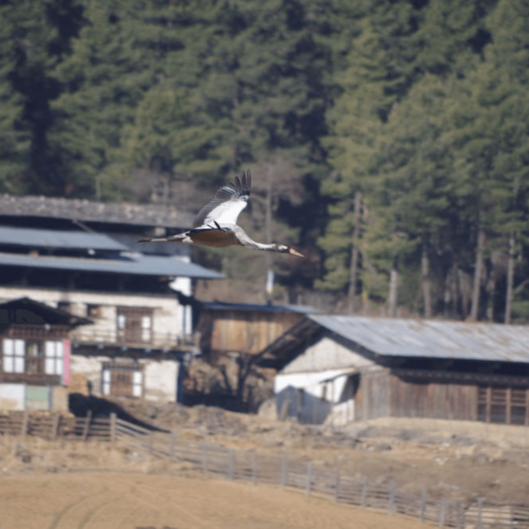 Destination image image4